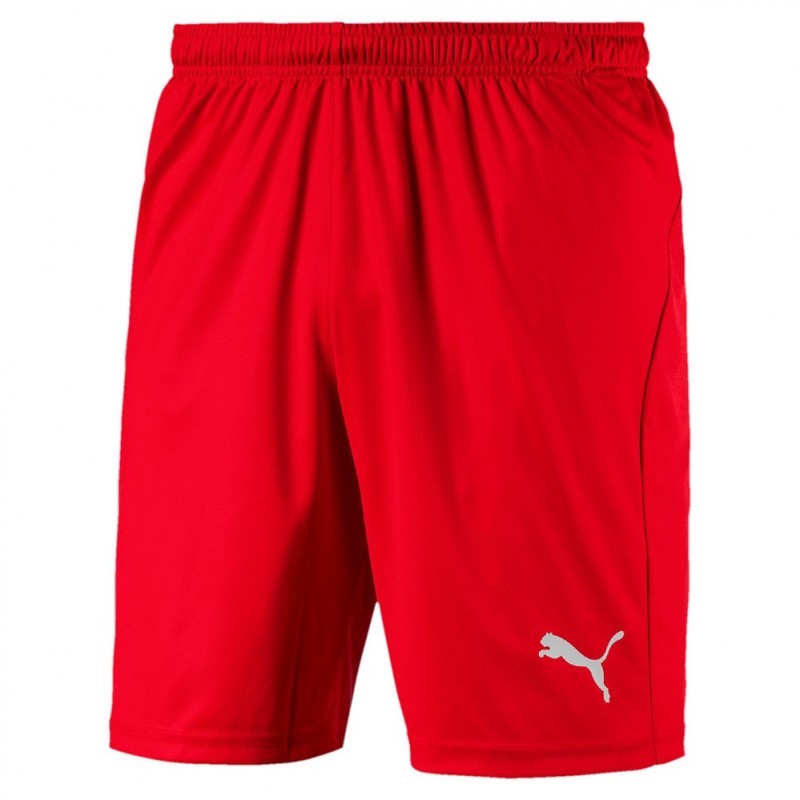 Puma Liga Striped ensemble de soccer chandail short et bas d'équipe